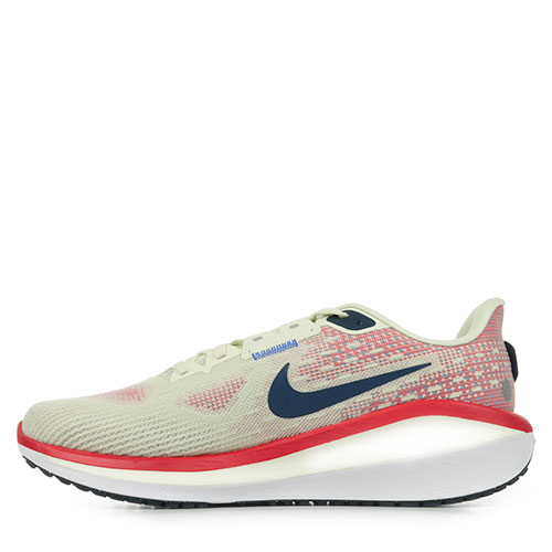 Nike Vomero 17