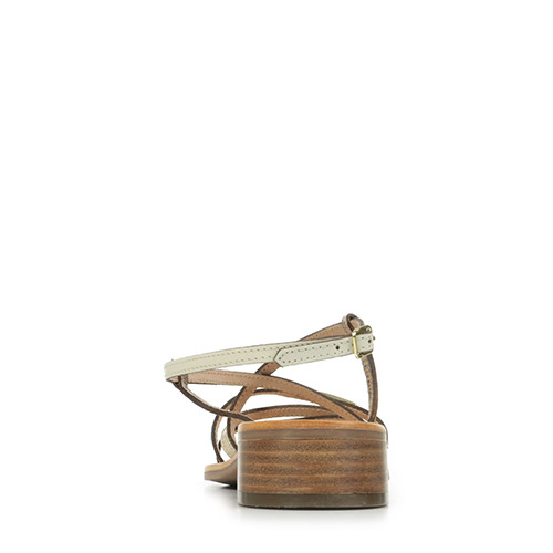 Les Tropéziennes by M Belarbi Harryna