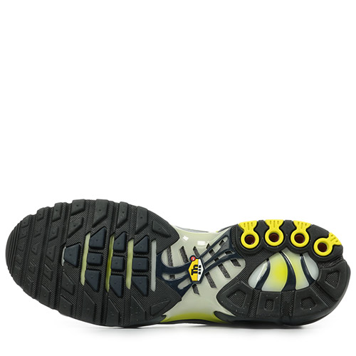 Nike Air Max Plus