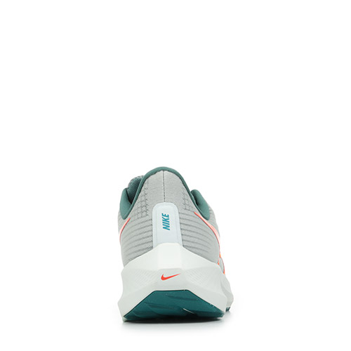 Nike Air Zoom Pegasus 39