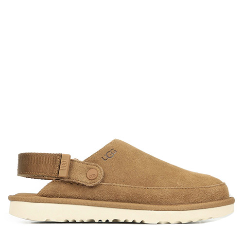 Goldenstar Clog