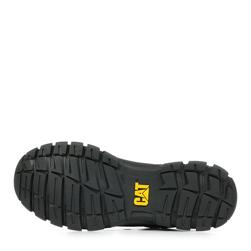 Caterpillar Threshold Hiker
