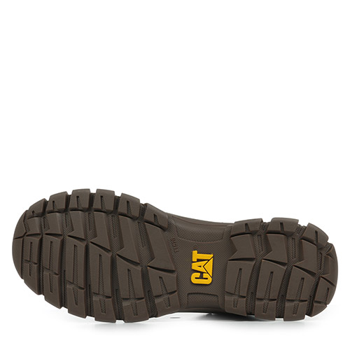Caterpillar Threshold Hiker