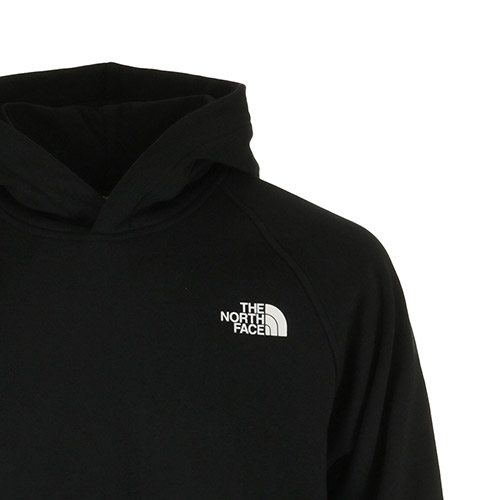 The North Face M Raglan Box Nse Hoodie