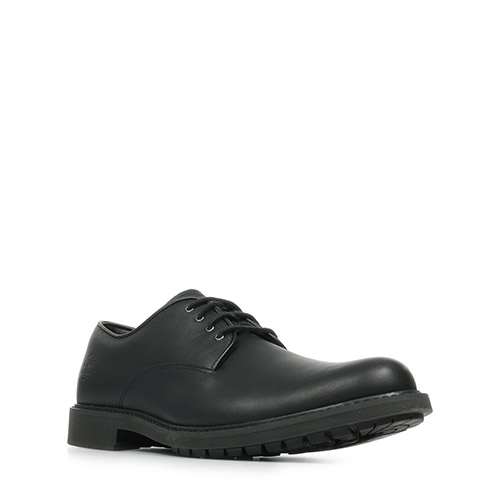 Timberland Stormbucks Lace Up Wateproof Shoe