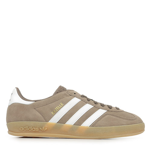 Gazelle indoor