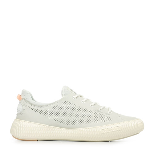Pallanova Lth