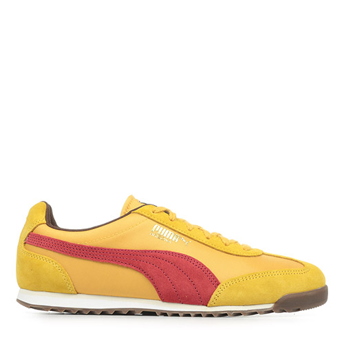 Arizona Nylon