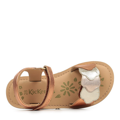 Kickers Dyastar