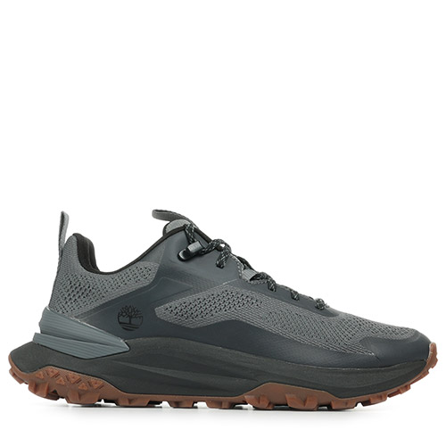 Motion Acces Low Lace Sneaker
