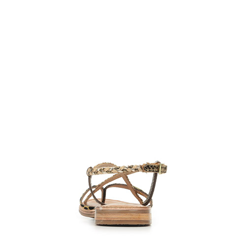 Les Tropéziennes by M Belarbi Monatres