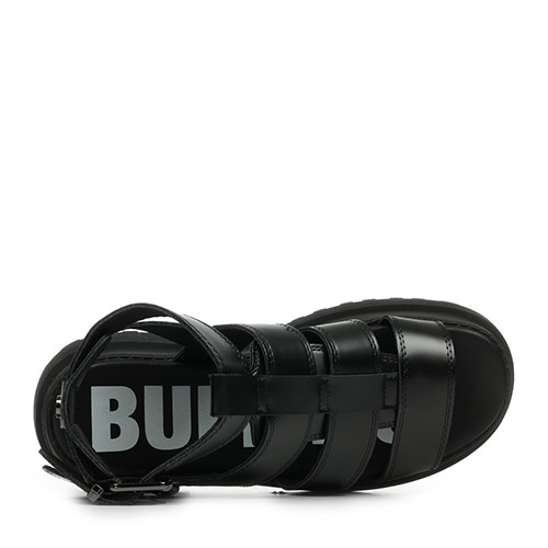 Buffalo Pluto Gld