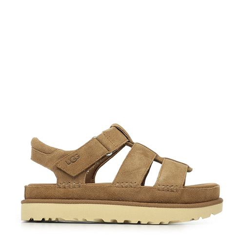 W Goldenstar Strap