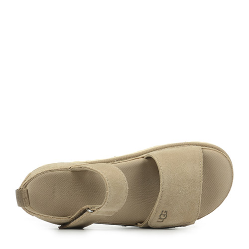 UGG w Goldenstar