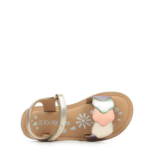 Kickers Dyastar