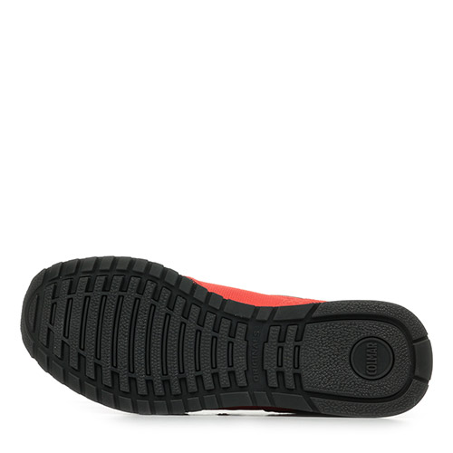 Colmar Travis Sport Bold