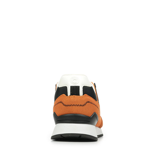 Colmar Travis Sport Bold