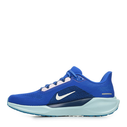 Nike Air Zoom Pegasus 41 Cm