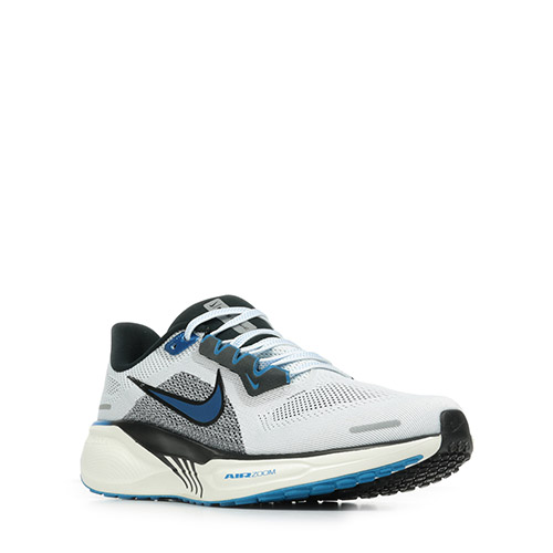 Nike Air Zoom Pegasus 41