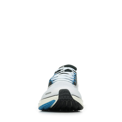 Nike Air Zoom Pegasus 41