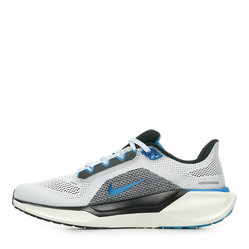 Nike Air Zoom Pegasus 41
