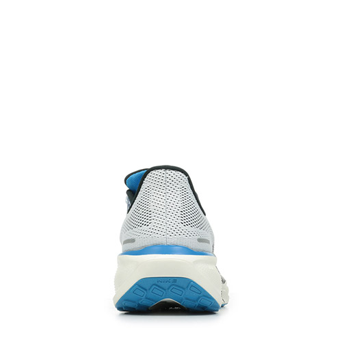 Nike Air Zoom Pegasus 41