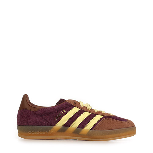 Gazelle indoor