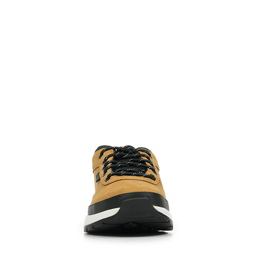 Timberland Field Trekker