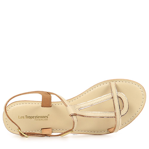 Les Tropéziennes by M Belarbi Hamatrio