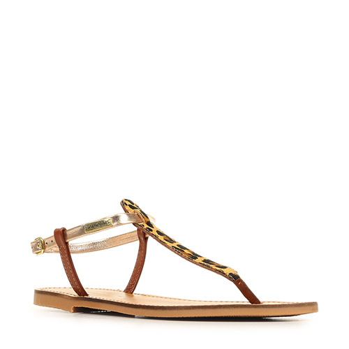 Les Tropéziennes by M Belarbi Harvil