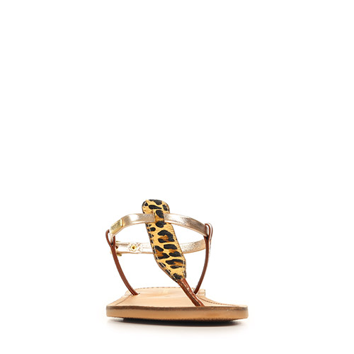 Les Tropéziennes by M Belarbi Harvil