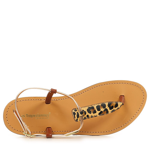 Les Tropéziennes by M Belarbi Harvil