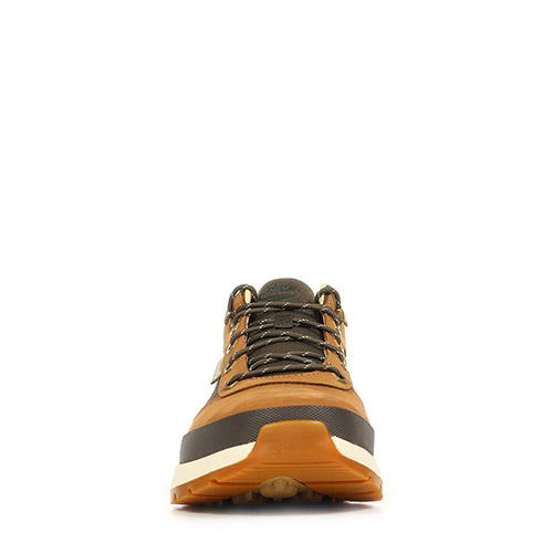 Timberland Field Trekker Low Lace Sneaker