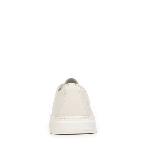 Timberland Maple Grove Low Lace