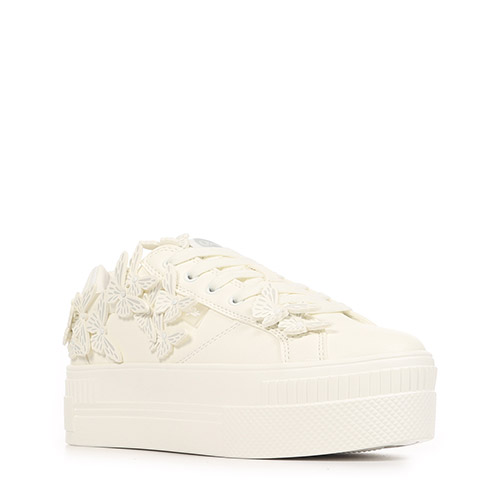 Buffalo Paired butterfly