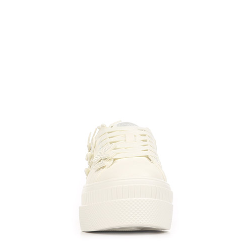 Buffalo Paired butterfly