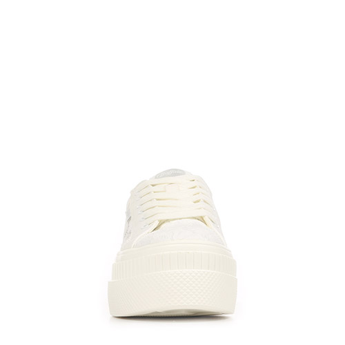 Buffalo Paired Bloom