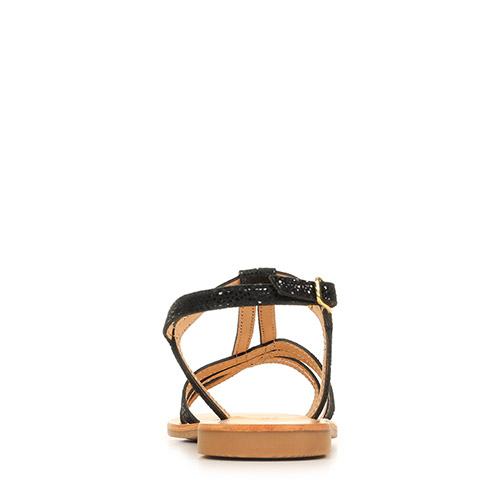 Les Tropéziennes by M Belarbi Hamelie