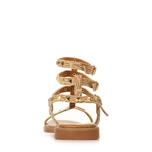 Les Tropéziennes by M.Belarbi Coralie