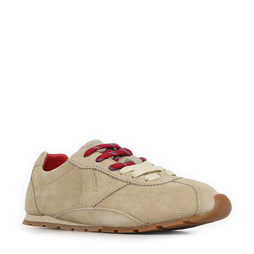 Victoria Aster Serraje