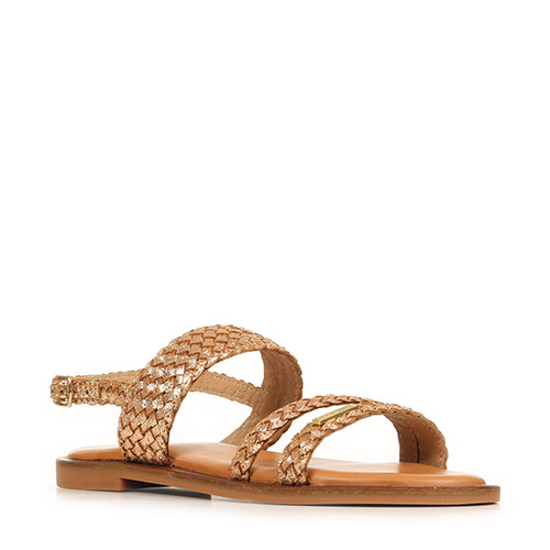 Les Tropéziennes by M Belarbi Dobelle