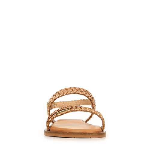 Les Tropéziennes by M Belarbi Dobelle