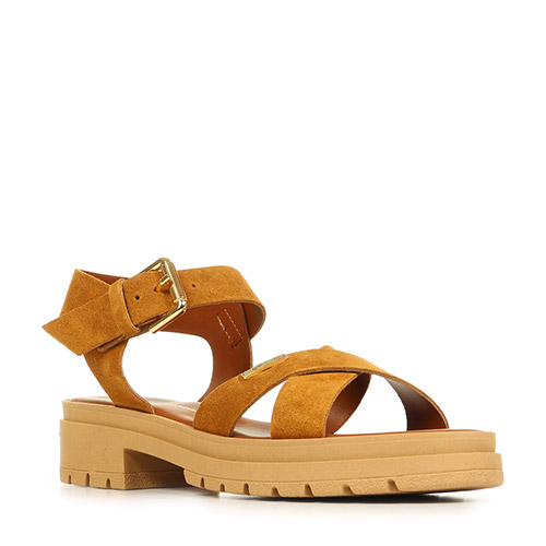 Les Tropéziennes by M.Belarbi Tihasued