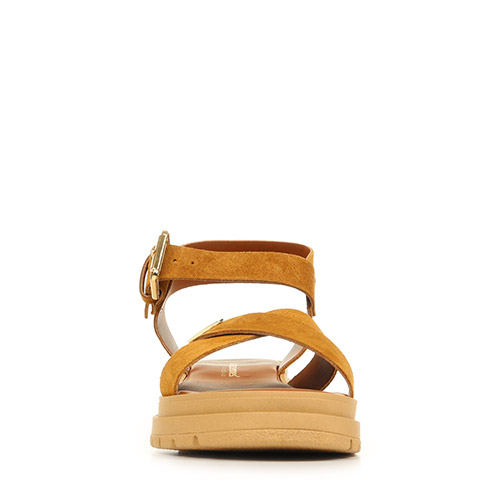 Les Tropéziennes by M.Belarbi Tihasued