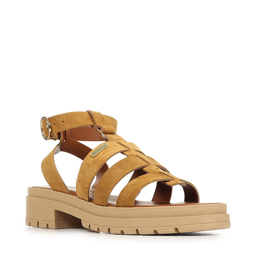 Les Tropéziennes by M.Belarbi Tobosued