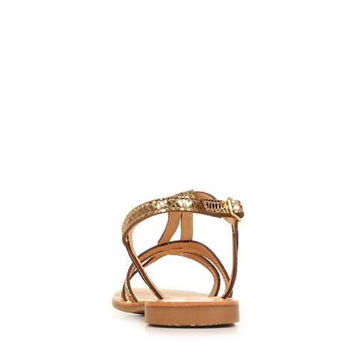 Les Tropéziennes by M Belarbi Hamelie