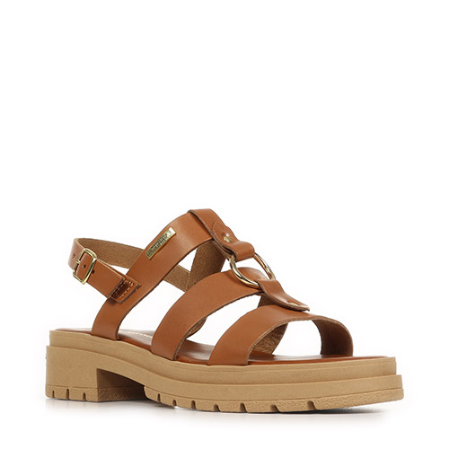 Les Tropéziennes by M.Belarbi Tonka