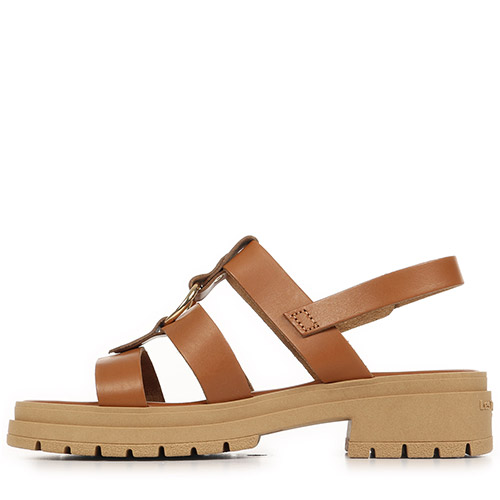 Les Tropéziennes by M.Belarbi Tonka