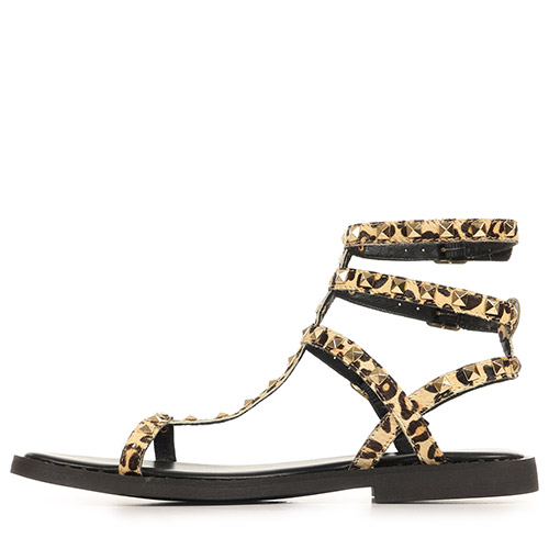 Les Tropéziennes by M.Belarbi Coralie