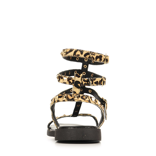 Les Tropéziennes by M.Belarbi Coralie